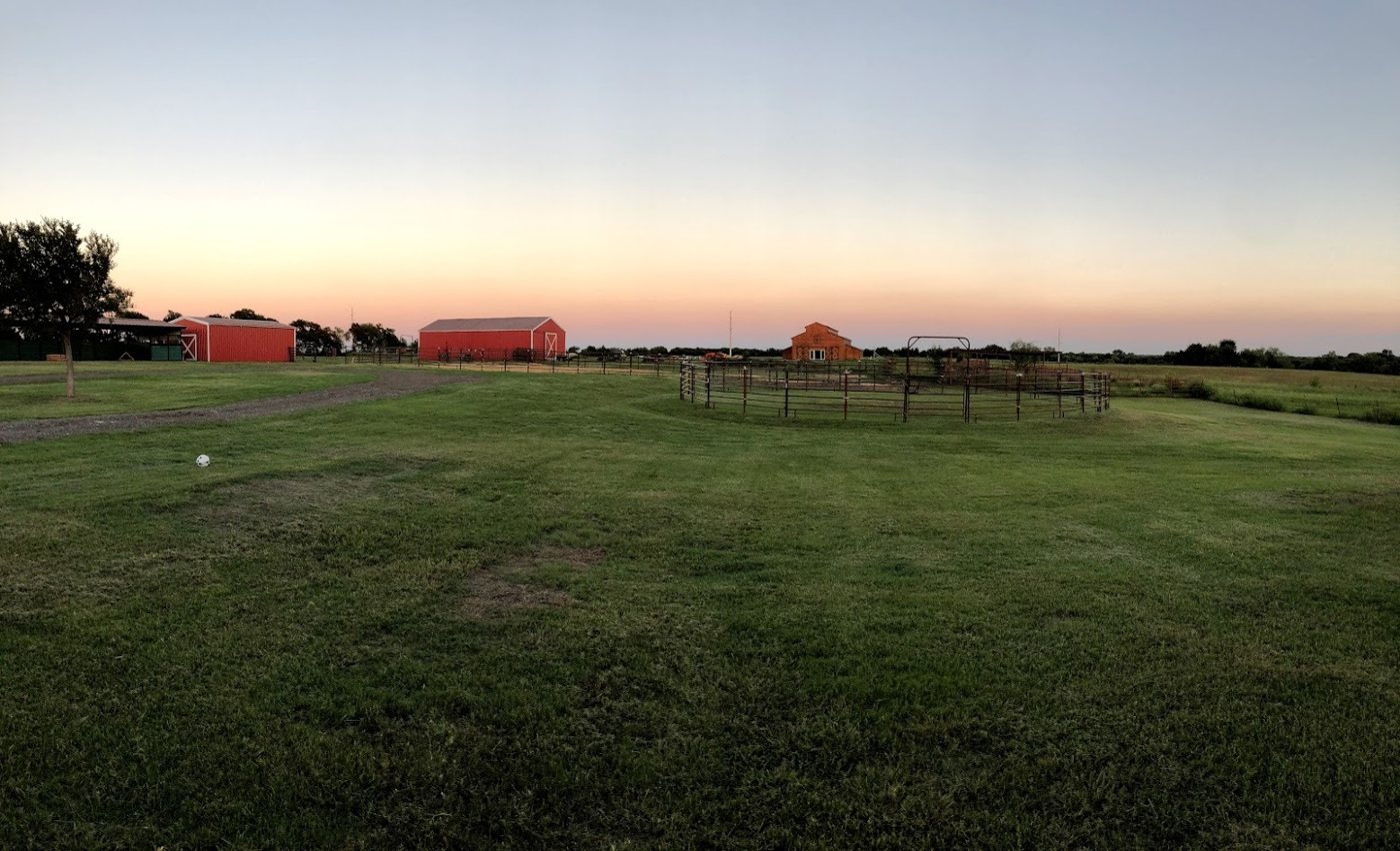 Pastures at sunset