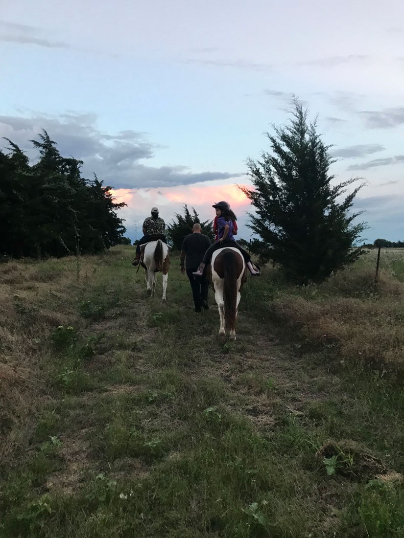 Tree-lined riding trail